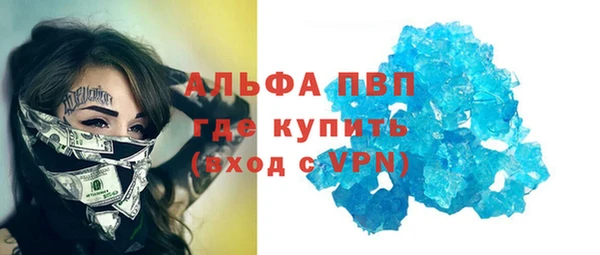 твердый Новодвинск