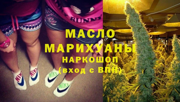 твердый Новодвинск